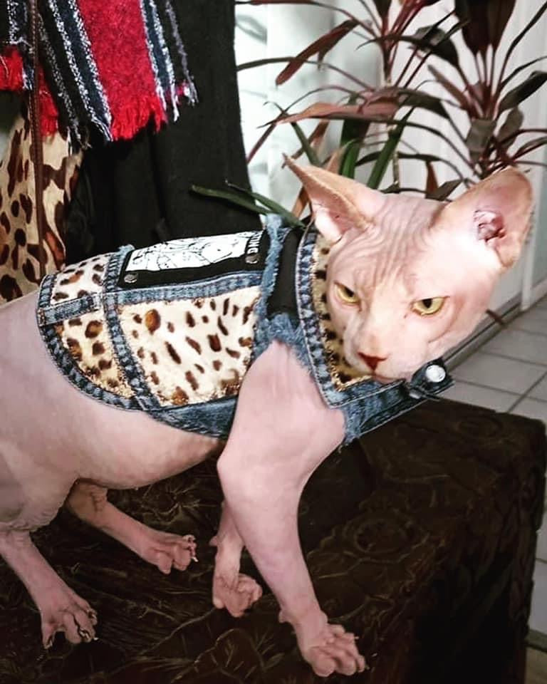 Sphynx Cat Poppa JoNo Creations punk vest