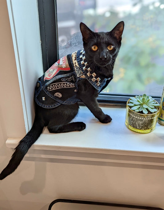 Custom Poppa JoNo Creations Cat vest